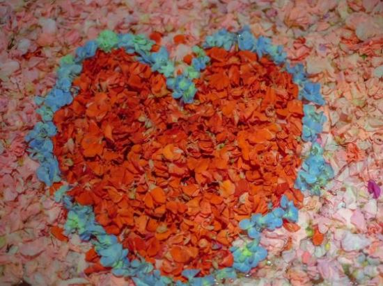 Фото Отель The Diana Suite