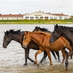 Фото Рыбзавод