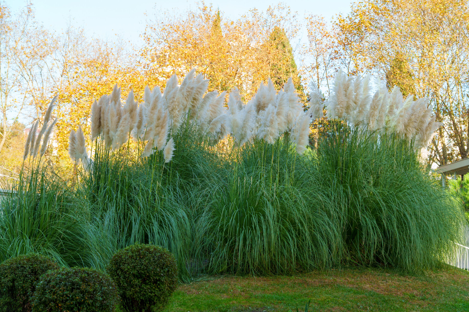 Фото Morskoy Resort