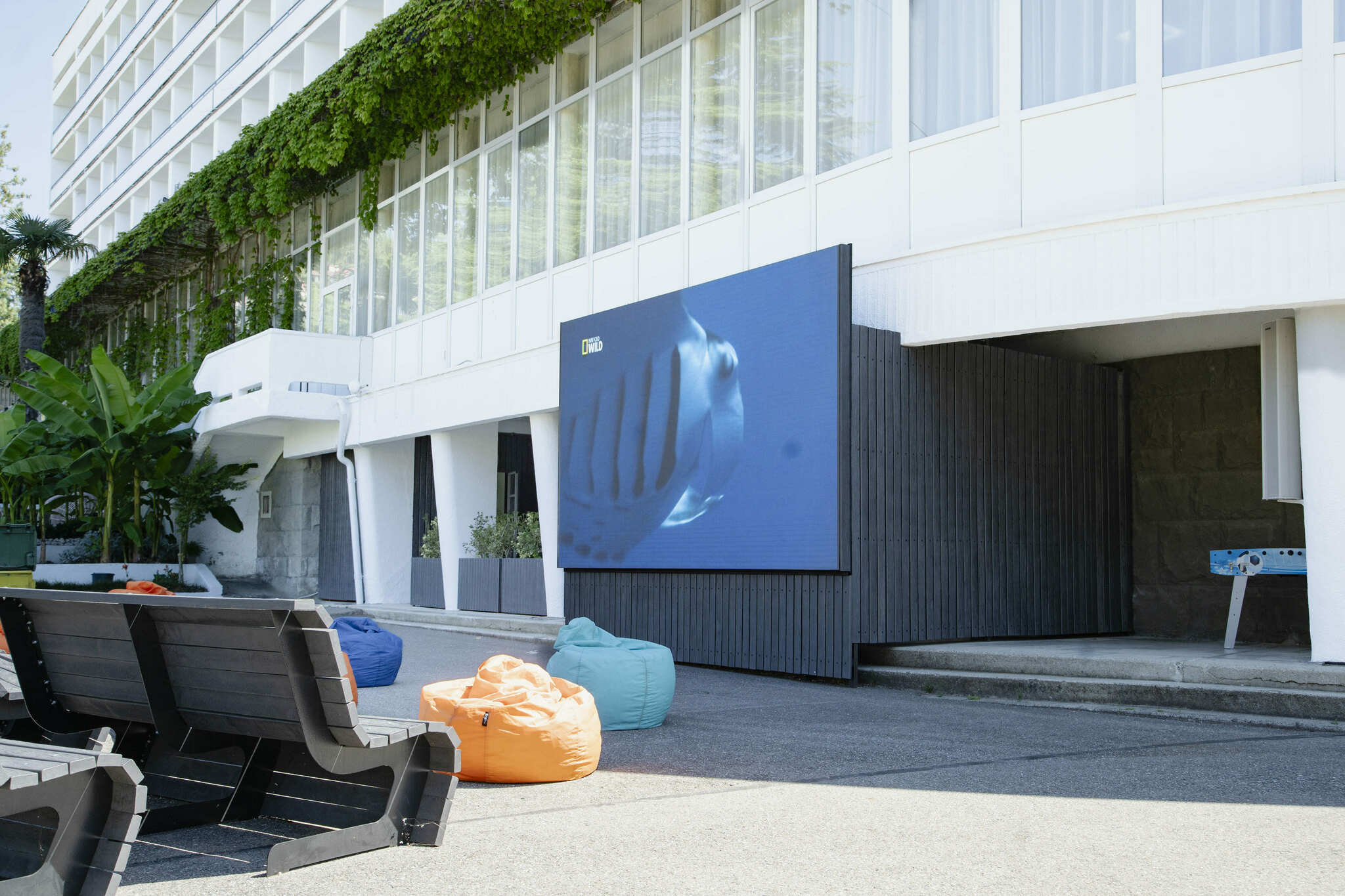 Фото Бирюза