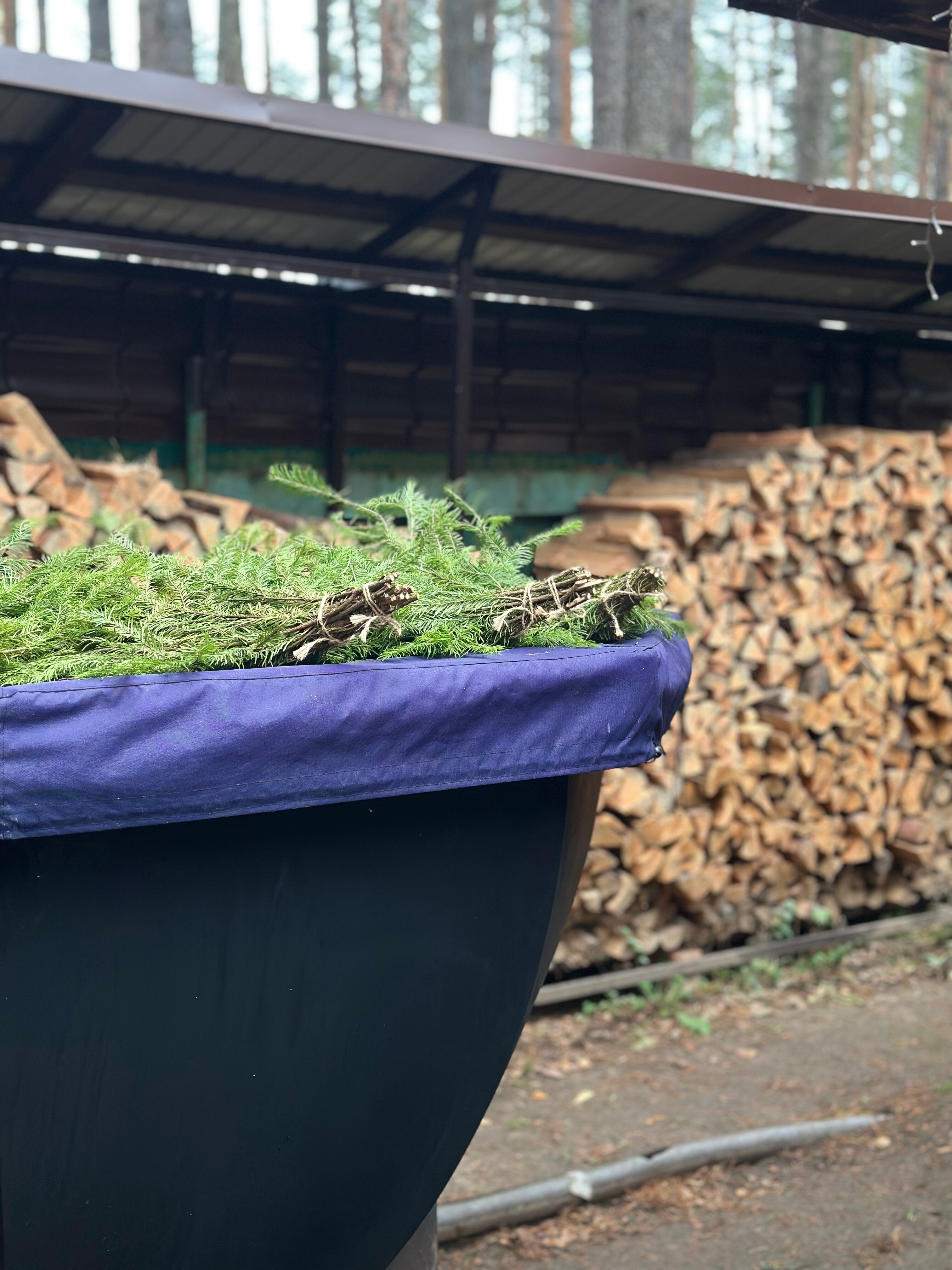 Фото Усадьба Волжское лесничество