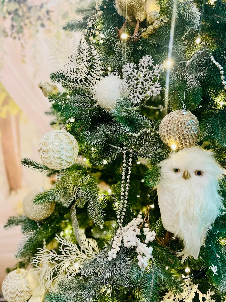 Фото Аустерия