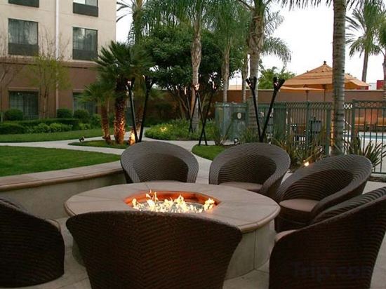 Фото Courtyard by Marriott Los Angeles Burbank Airport