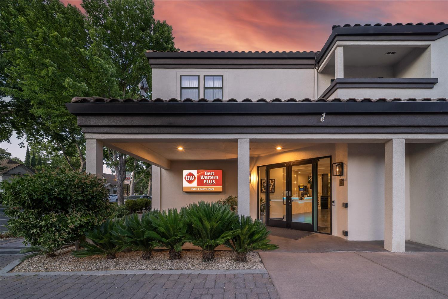 Фото Best Western Plus Palm Court Hotel