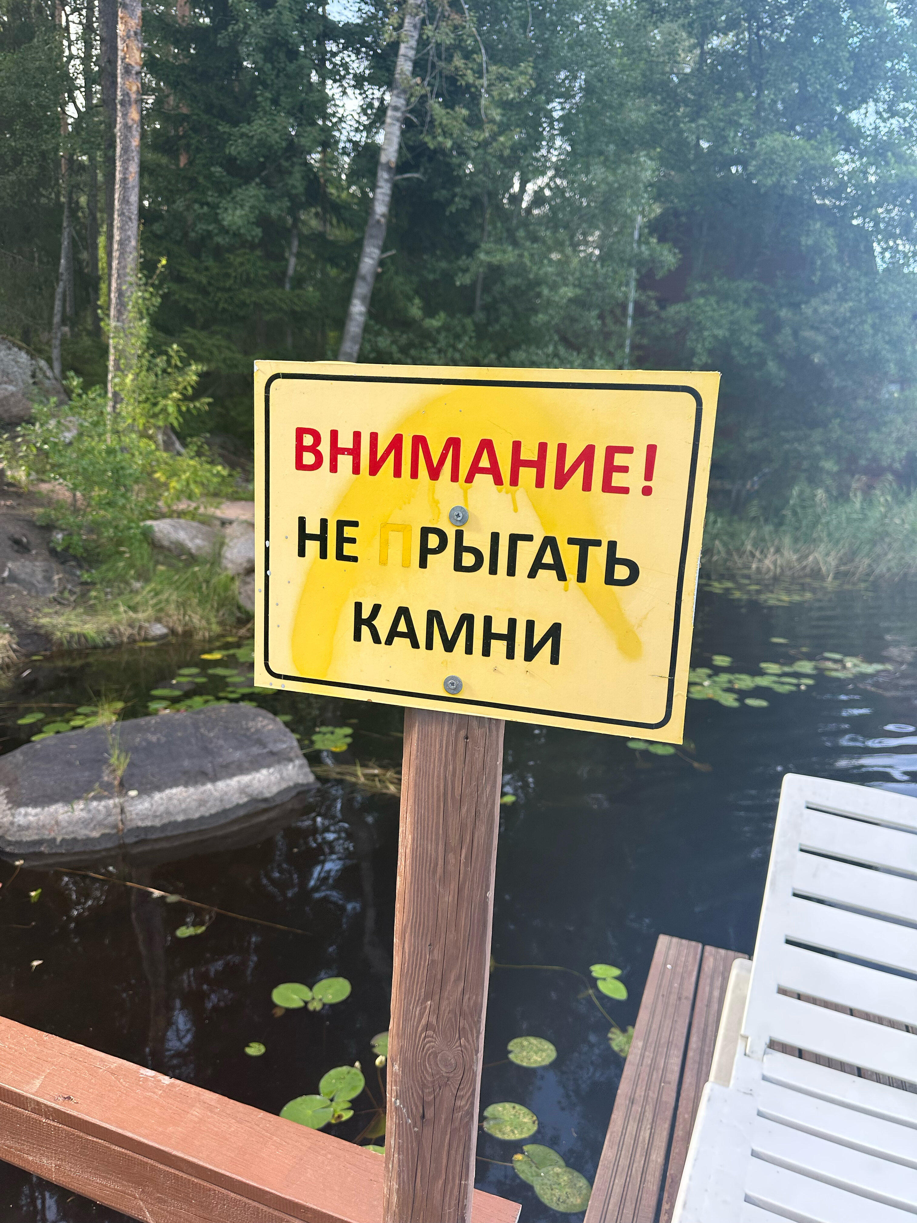 Фото Лесная сказка