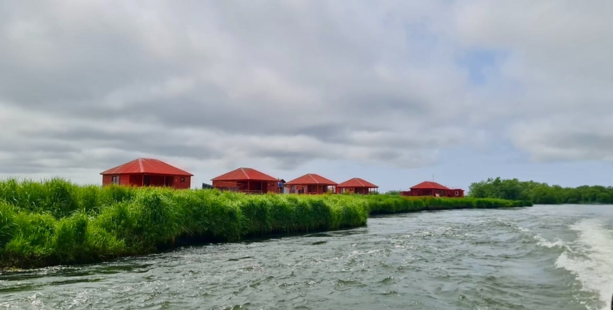 Фото ПроЛосось