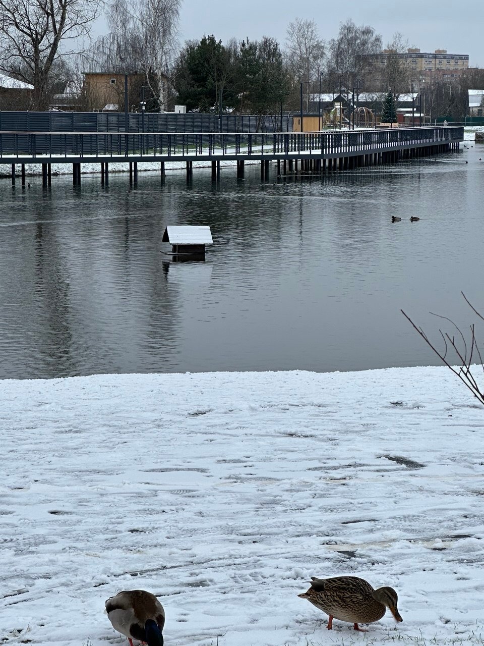 Фото Loft Place Taus