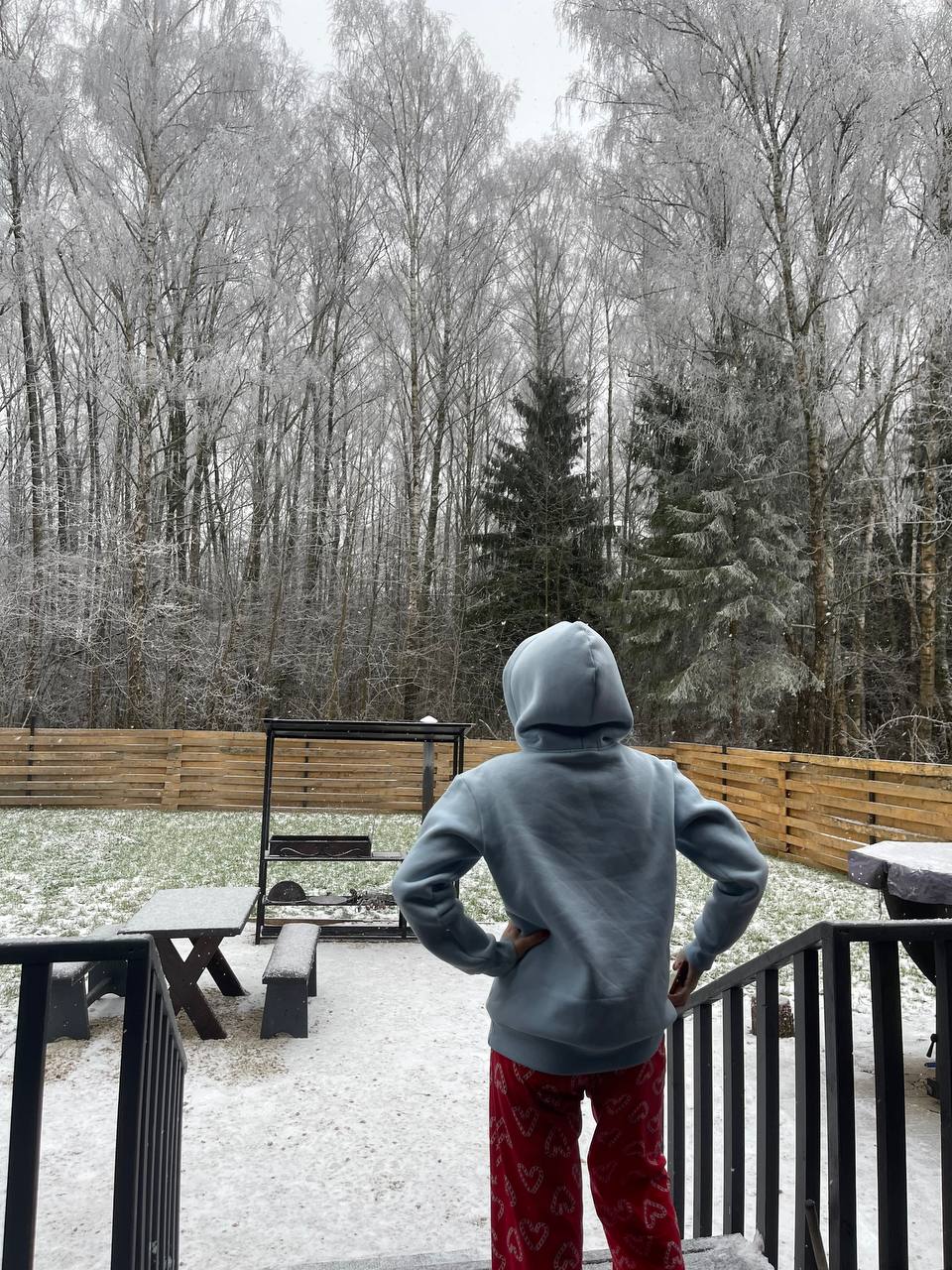 Фото Звёзды леса