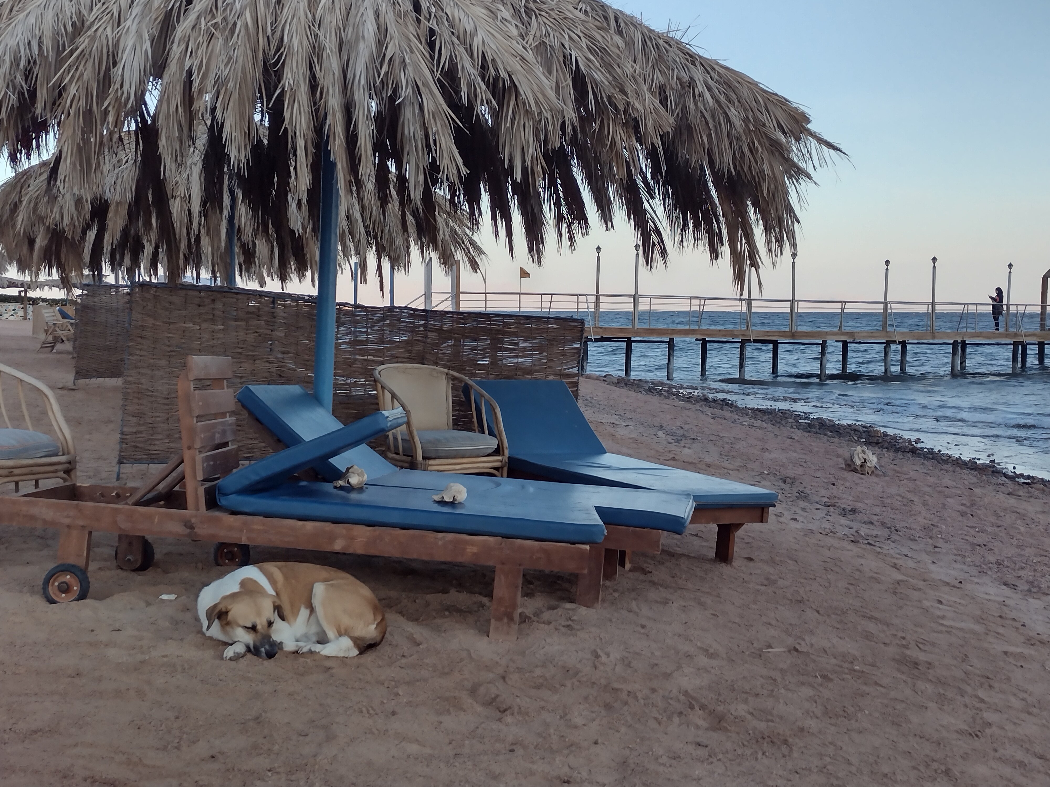 Фото Ecotel Dahab Bay View Resort