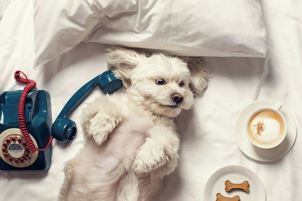 Фото Moxy Tbilisi by Marriott