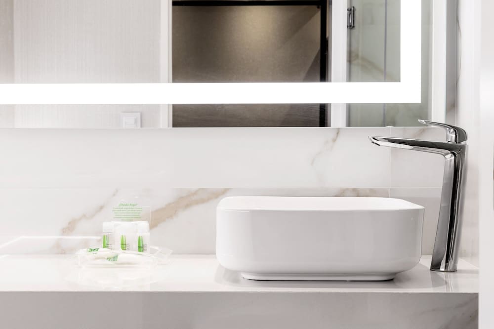 Фото Holiday Inn Rosario by IHG