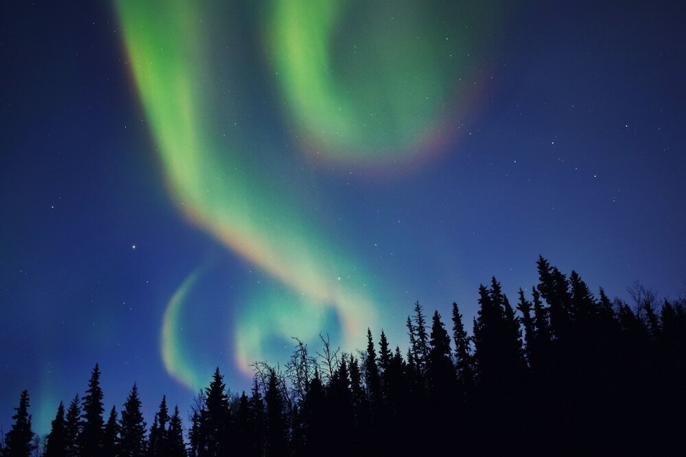 Фото Wedgewood Resort