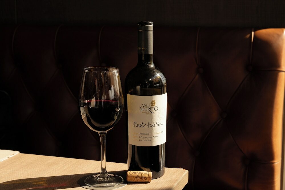 Фото Hotel Terrado Rancagua