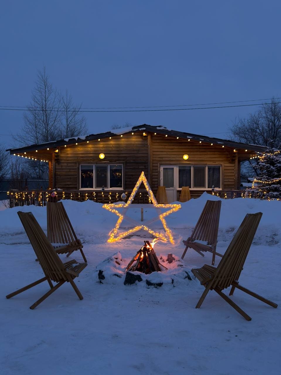 Фото Лаванда