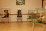 Anatomicheskiy muzey (ulitsa Dzerzhinskogo, 99А) ، متحف