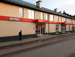 Magnit (Kronburgskaya ulitsa, 1к6), grocery