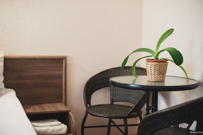 Фото Ботаник