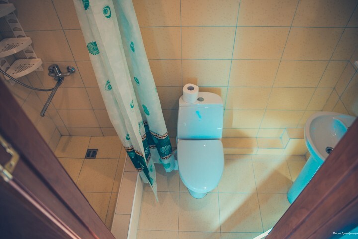Фото Дельфиниум