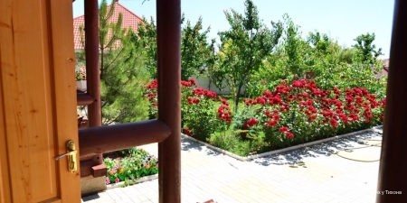 Фото В гостях у Тихона