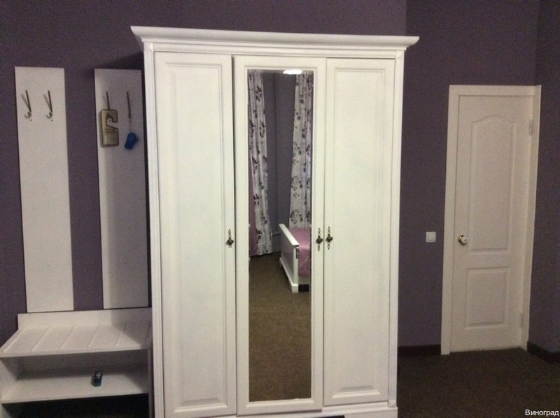 Фото Виноград