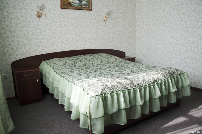 Фото Спутник