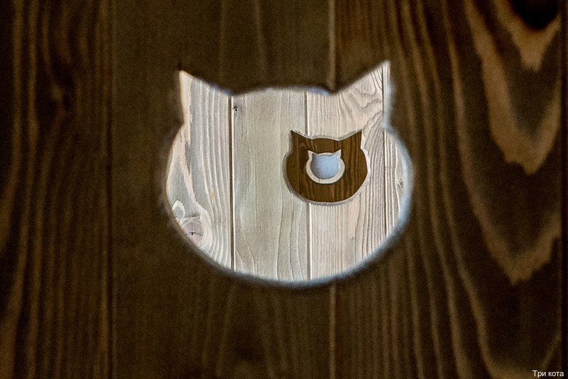 Фото Три кота