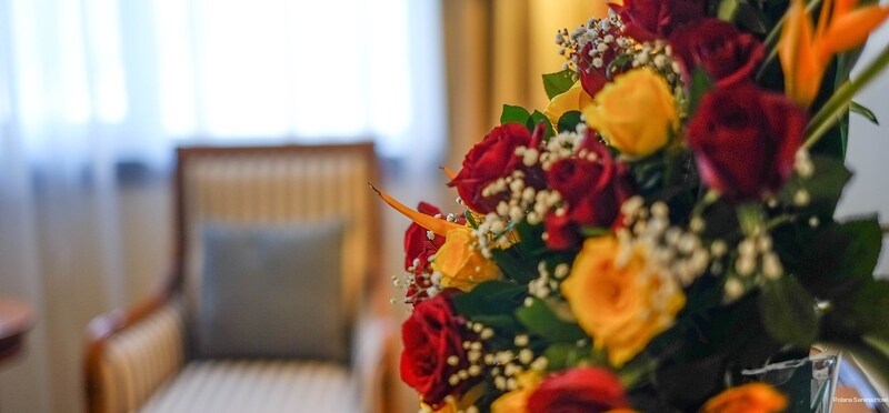 Фото Polana Serena Hotel