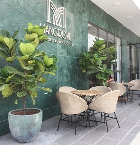Mangrove Hotel Can Gio