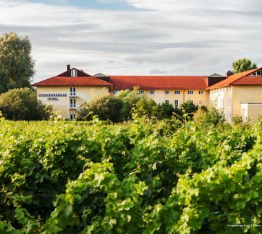 Фото Steigenberger Hotel El Tahrir Cairo