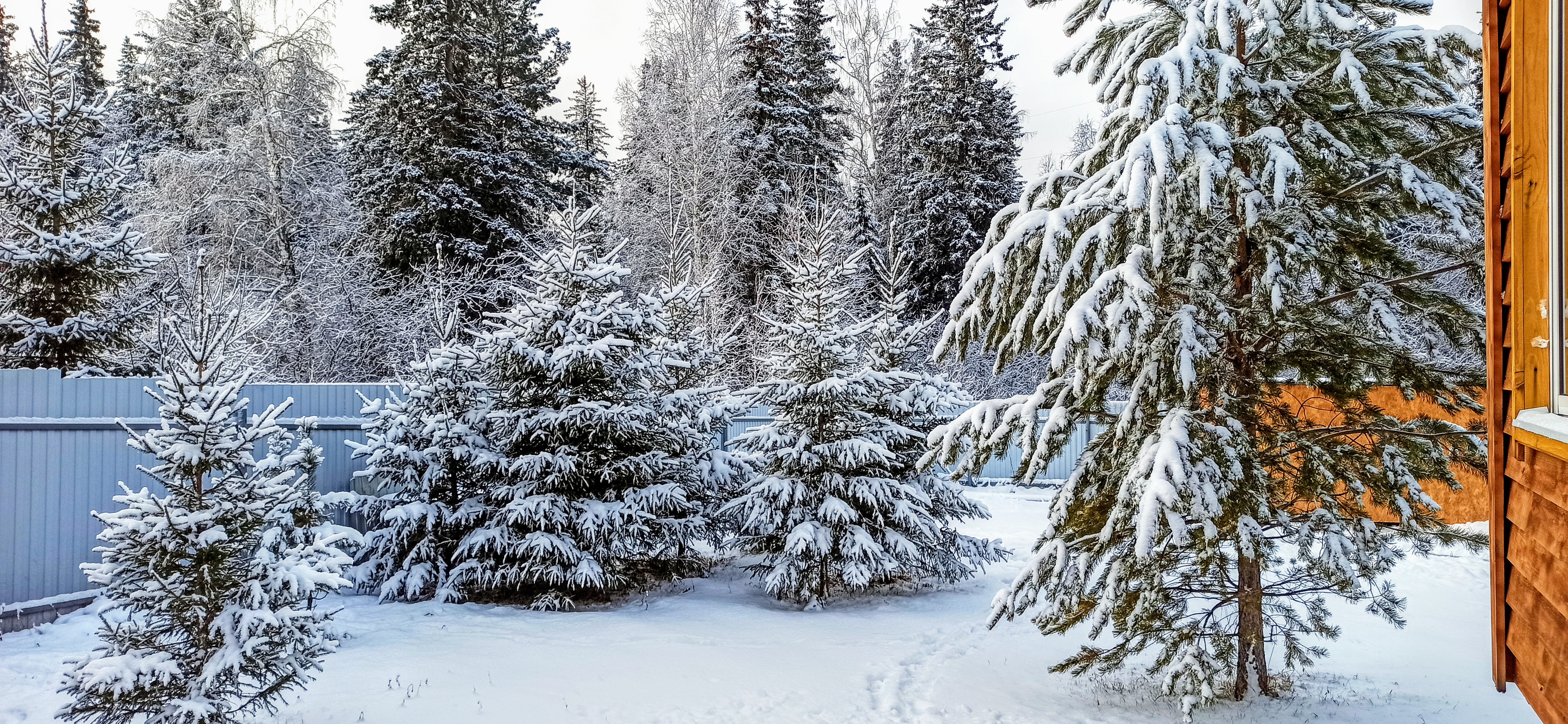 Фото Деревенская усадьба
