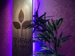 Tairai (Glavmosstroya Street, 5), spa