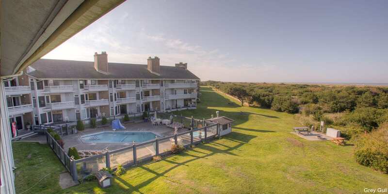 Фото The Grey Gull