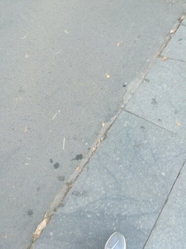 Aydınca Kuyumculuk Fotoğraf 2