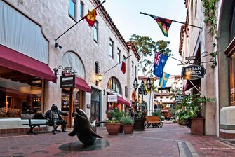 Фото Residence Inn by Marriott Santa Barbara Goleta