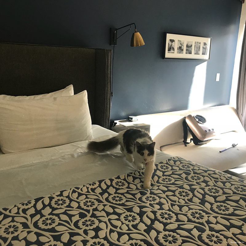 Фото Borrego Valley Inn