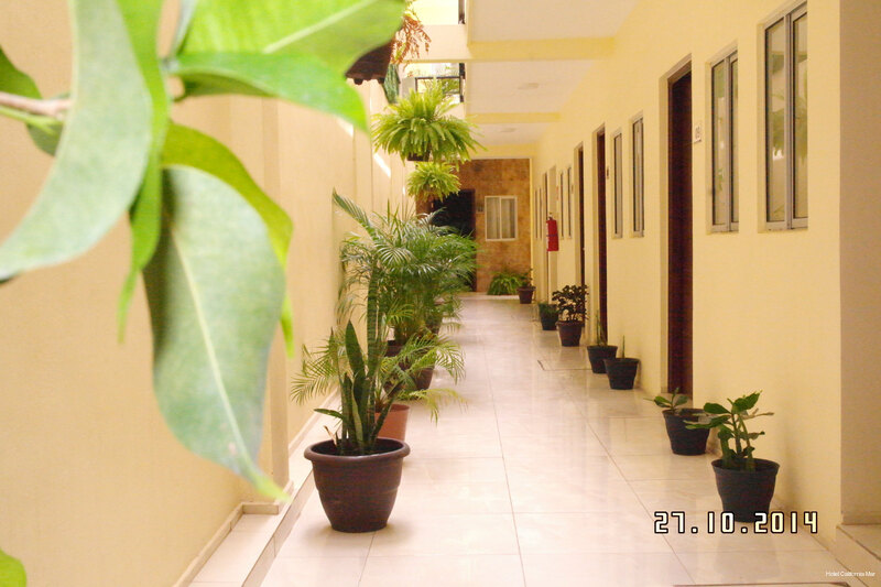 Фото Hotel California Mar