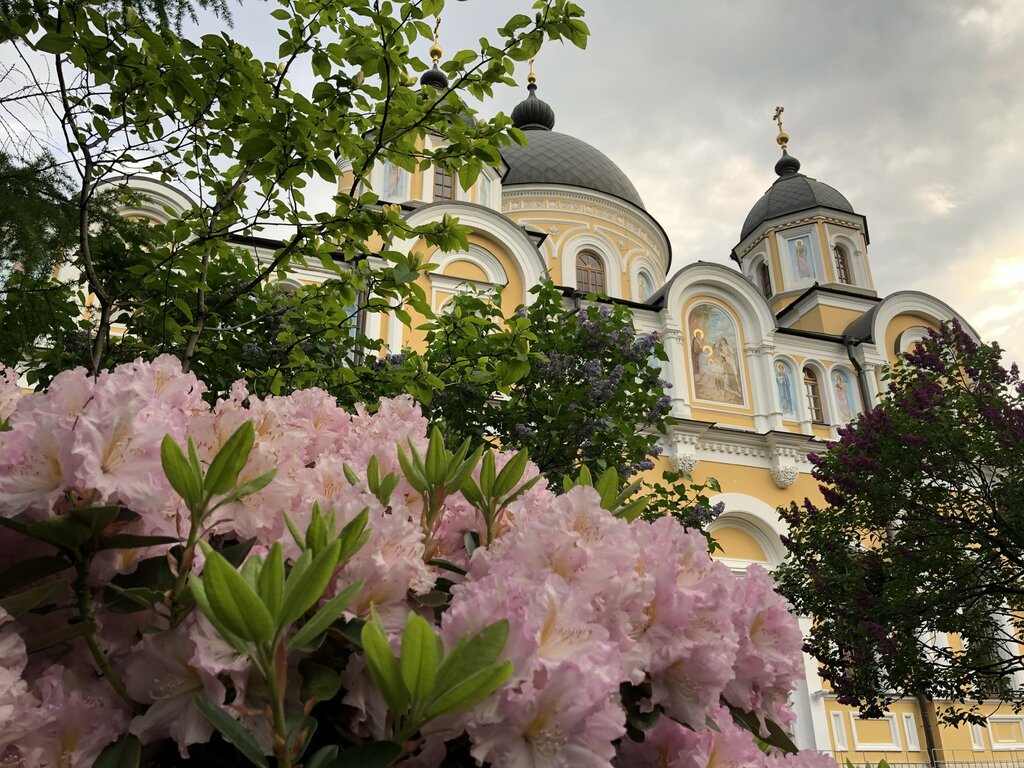 Матронушка москва монастырь
