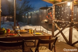 Фото Орхидея