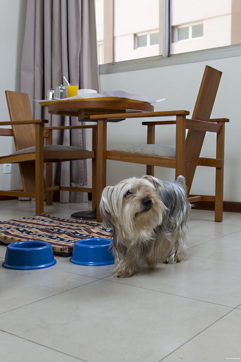 Фото Black Stream Hotel