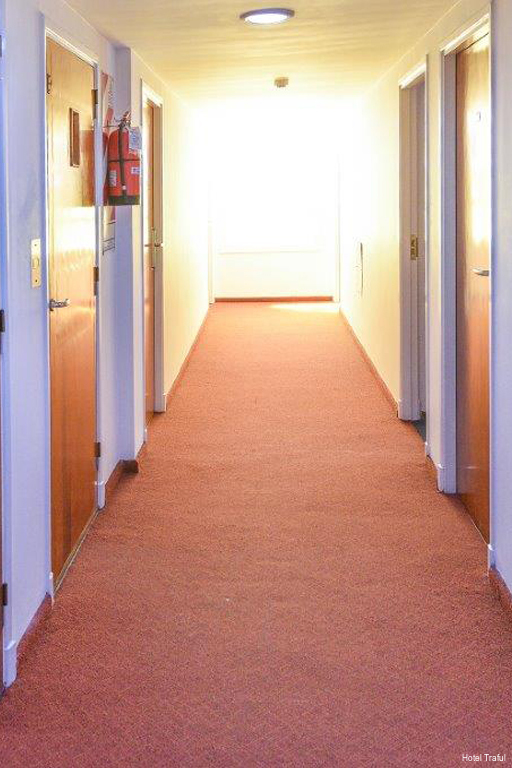 Фото Hotel Traful