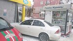 Альфа (Lenina Avenue, 52), desinfección, desinsectación, desratización