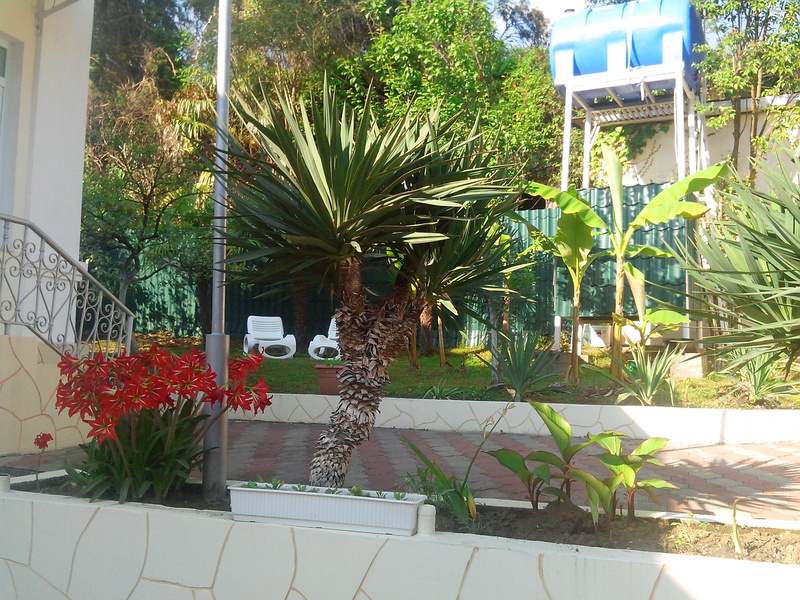 Фото Бестужеский дворик