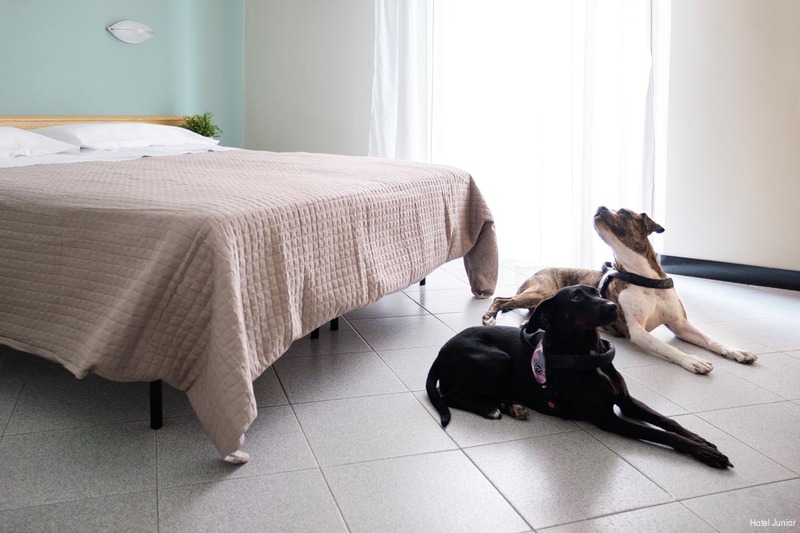 Фото Hotel Junior