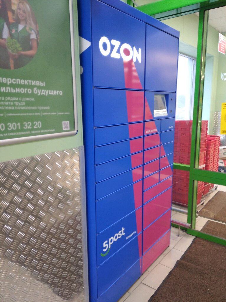 Parcel automat Ozon Box, Voronezh, photo