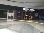 Silver Cinema (derevnya Borisovichi, Zavelichenskaya ulitsa, 23), cinema