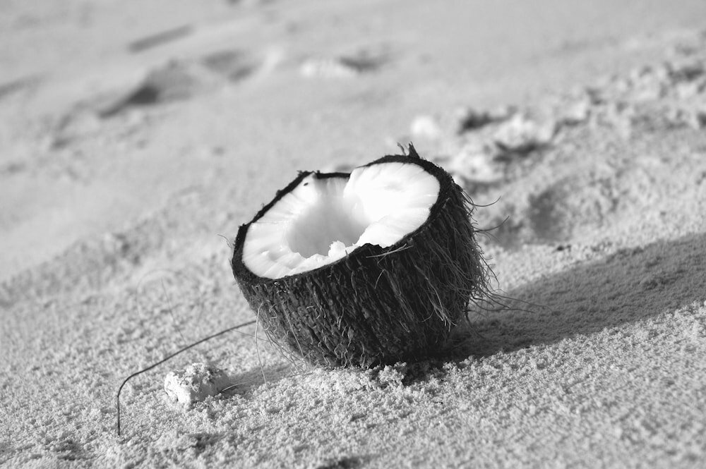 Фото Le Domaine de L'Orangeraie