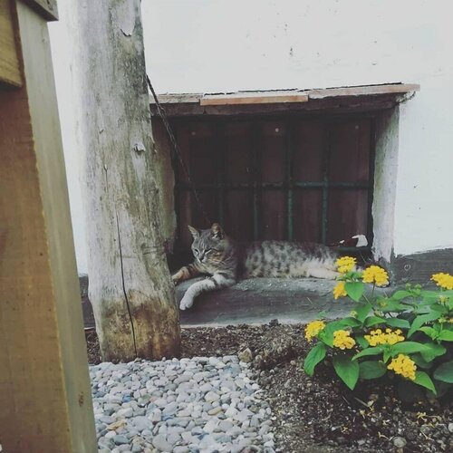 Гостиница Torre Elisea в Майори