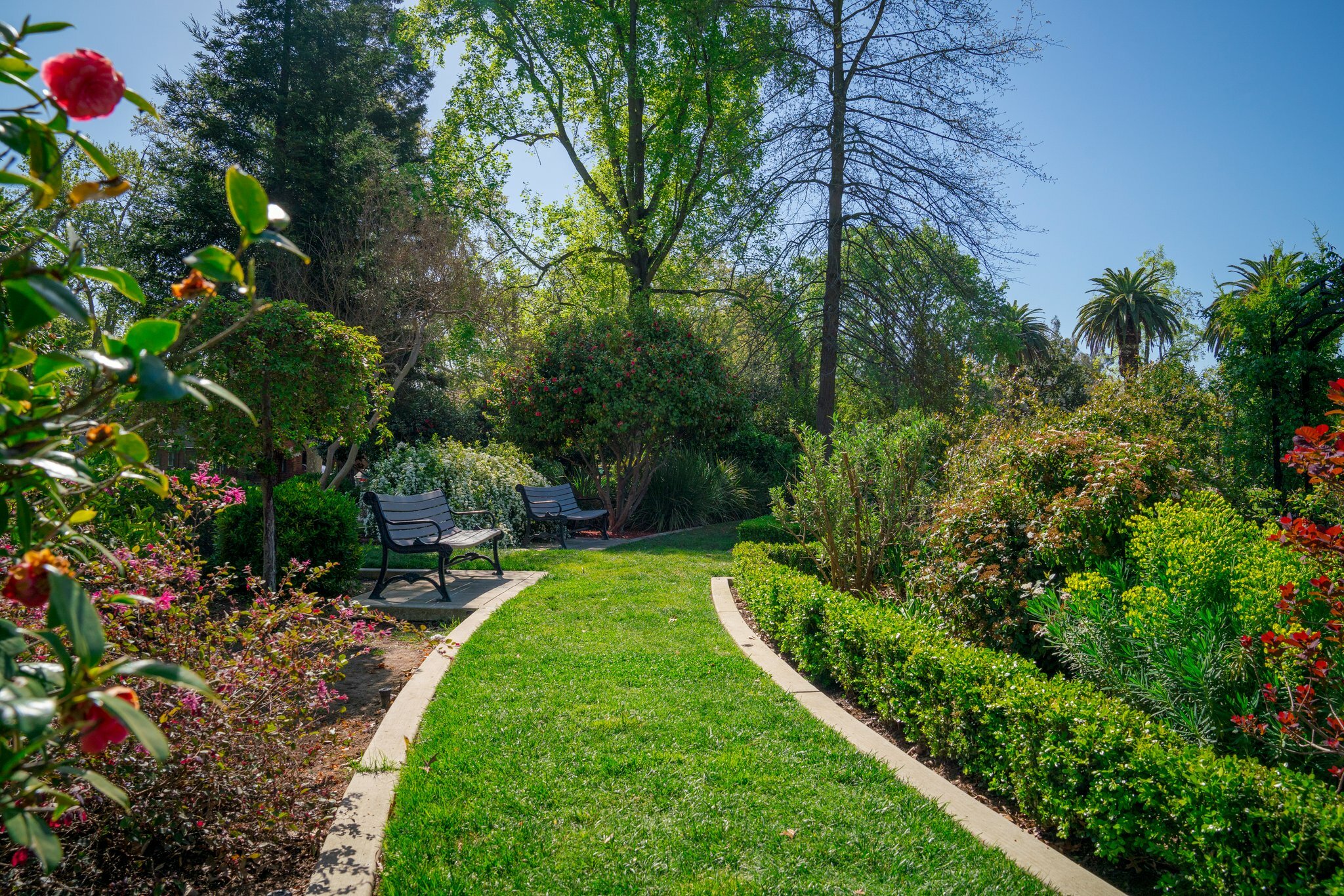 Фото Holiday Inn Sacramento Downtown-Arena, an Ihg Hotel