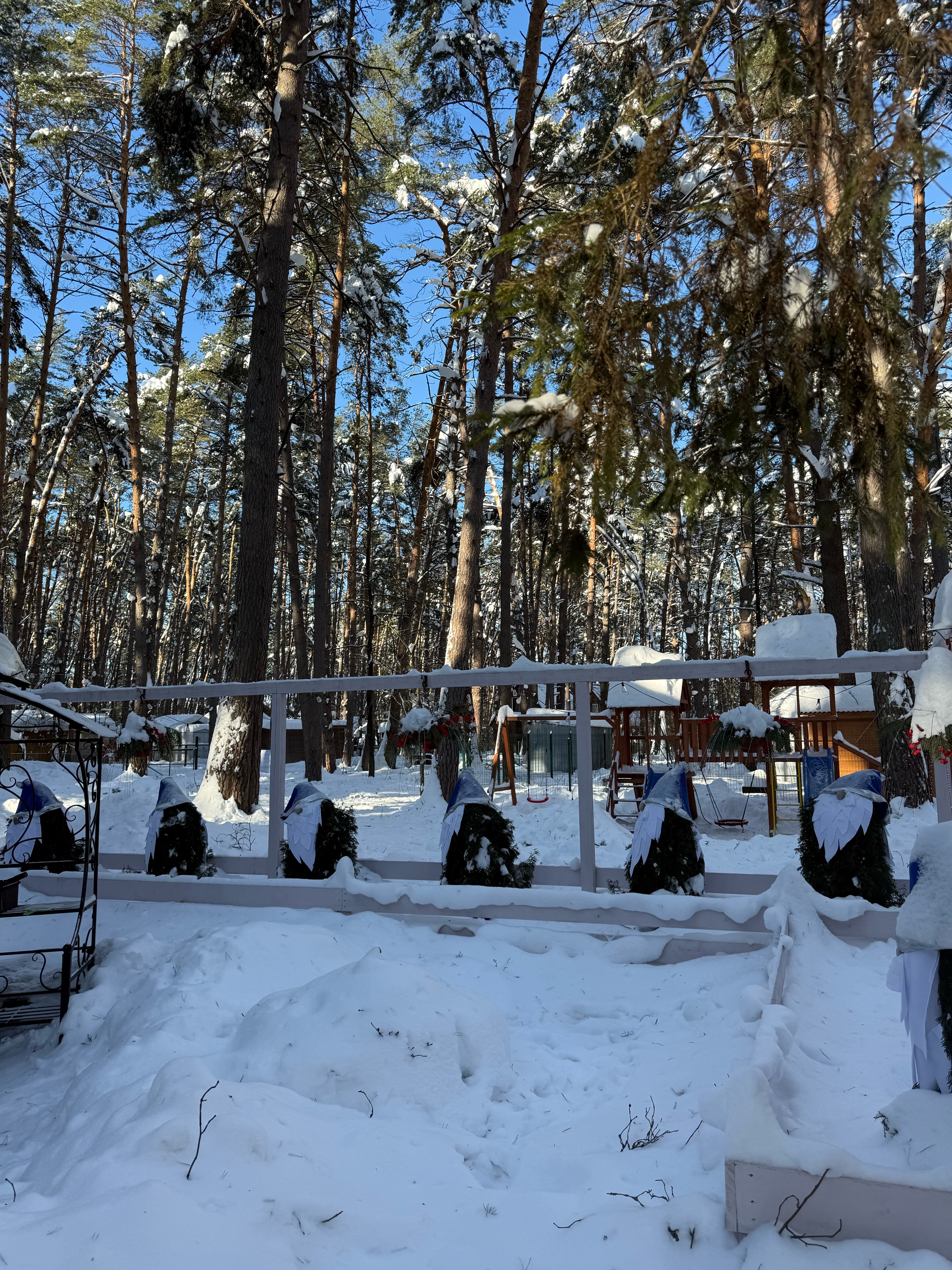 Фото Шепот Вашаны