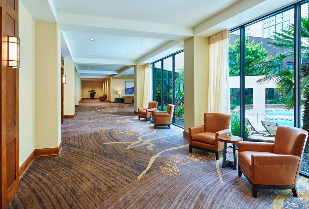 Фото DoubleTree by Hilton San Antonio Airport